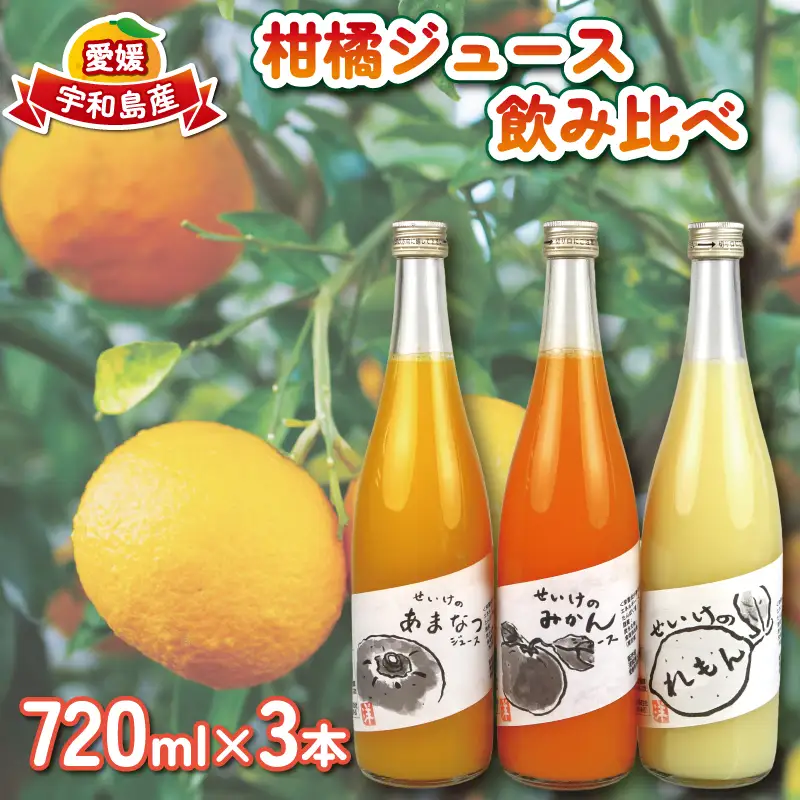 柑橘 ジュース 飲み比べ 720ml×3本 贈答用 清家 ストレート ジュース H014-170006