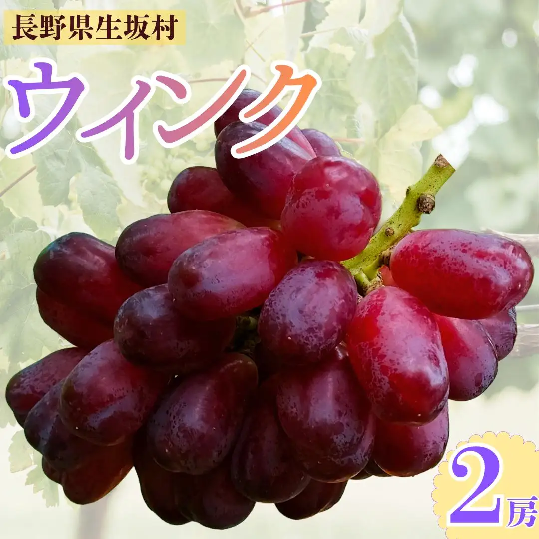 ウインク　約1.1kg（２房）| ぶどう ぶどう