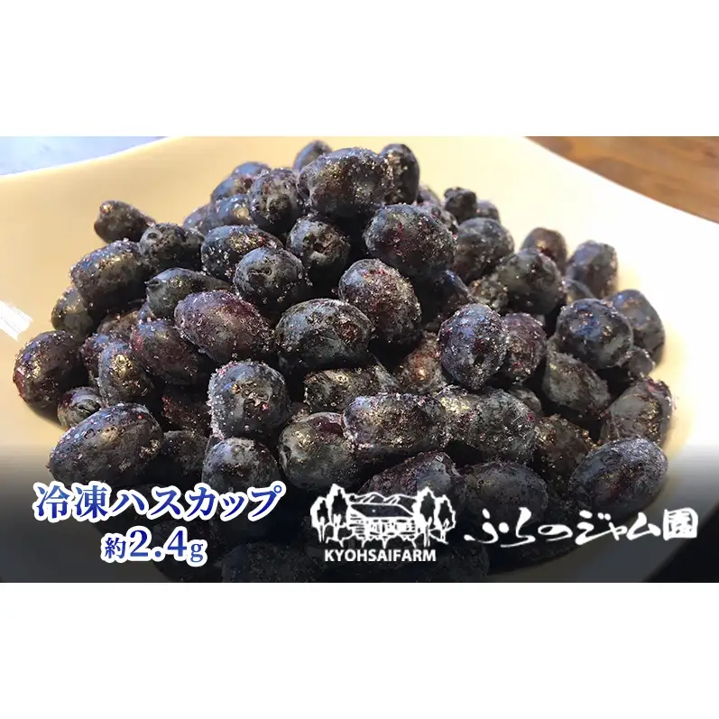 ◆ふらのジャム園◆ 冷凍 ハスカップ 8袋セット ( 果物 フルーツ 冷凍食品 新鮮 産地直送 北海道 道産 富良野 )