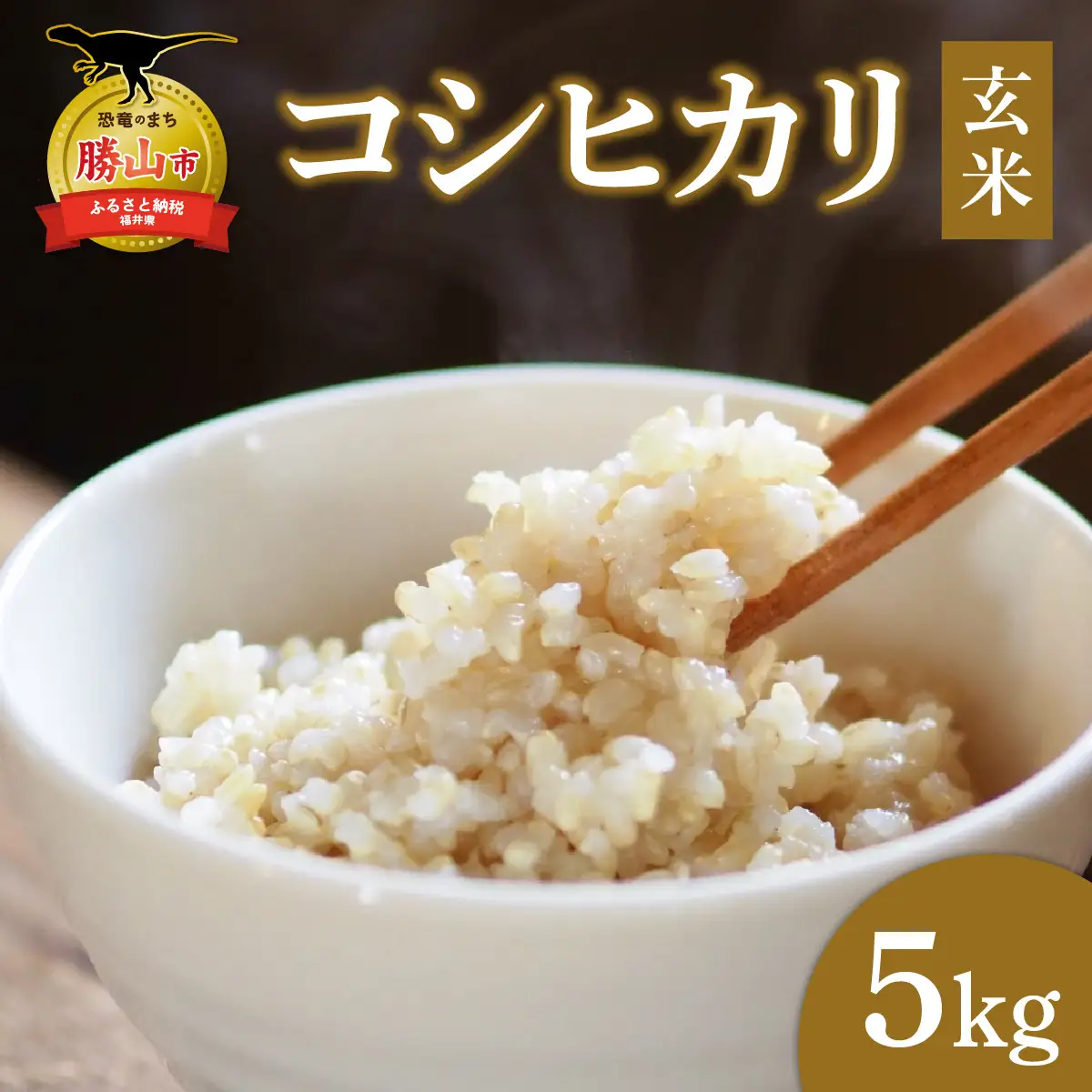 米 コシヒカリ 勝山市産 田中さんち 玄米 5kg [A-080012]