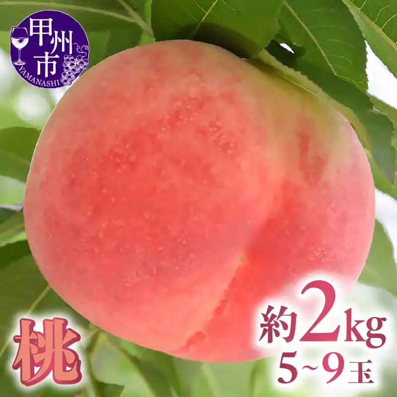 甲州市勝沼産 桃 約2kg（5～9玉）【2027年発送】（AZY）B-827 桃 フルーツ