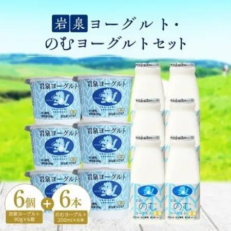 【毎月定期便】岩泉ヨーグルト90g×6個・のむヨーグルト200ml×6本セット全6回【配送不可地域：離島】【4089196】