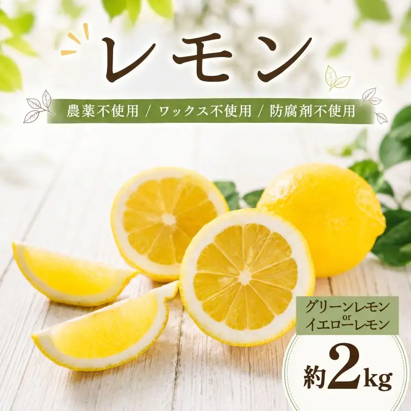 レモン 約2kg グリーンレモン イエローレモン 家庭用【DRM007】