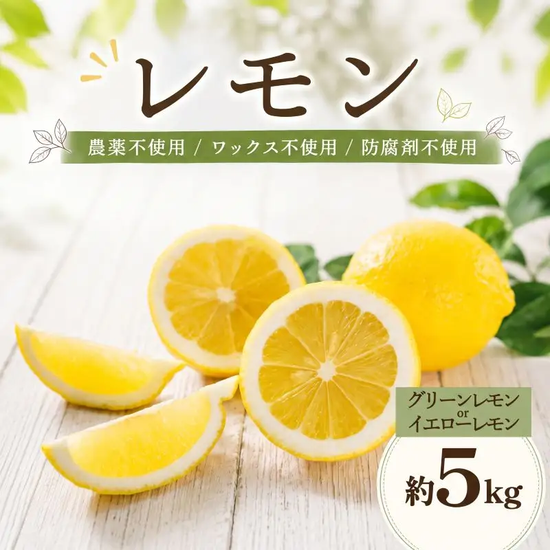 レモン 約5kg グリーンレモン イエローレモン 家庭用 【DRM008】
