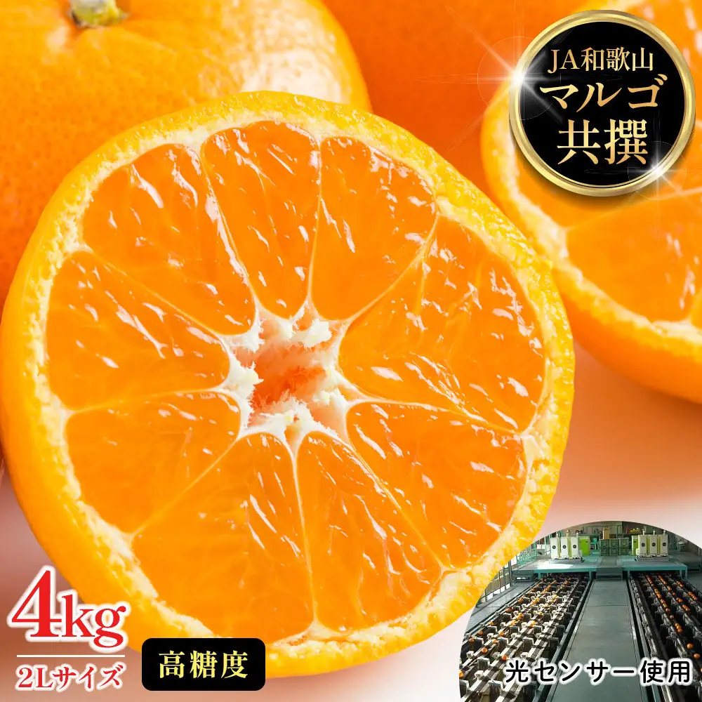 有田みかん 4kg 2Lサイズ 光センサー使用 高糖度