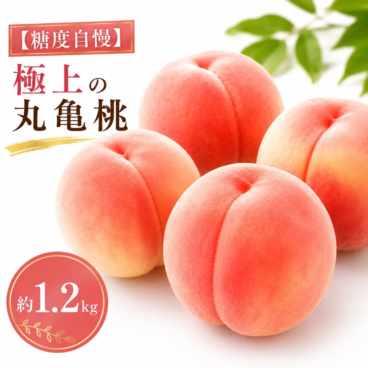 【6月下旬より発送】 桃 約1.2kg 丸亀桃 