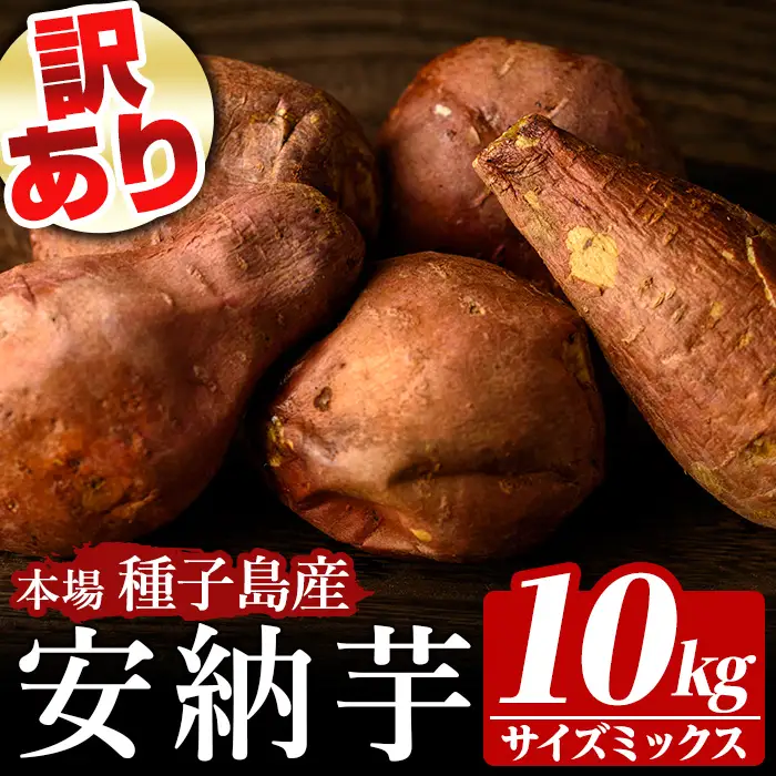 訳あり 安納芋 10kg・サイズミックス 国産 鹿児島 種子島 さつまいも  B級 【種子島安納株式会社】n462