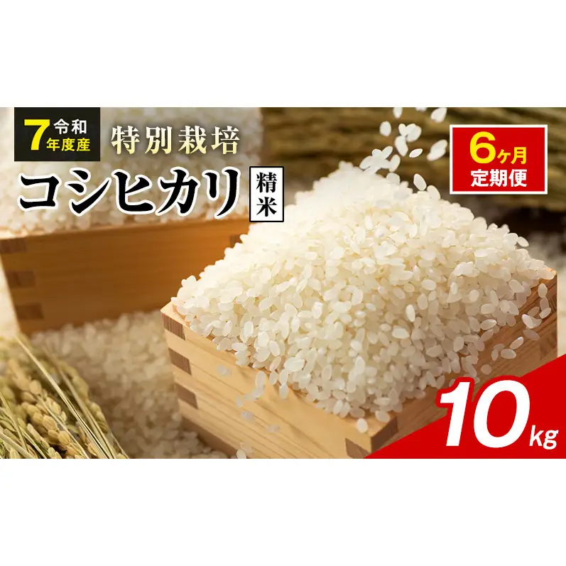 令和7年産 特別栽培米 コシヒカリ 白米 10kg 静岡県産 色彩選別済 食に