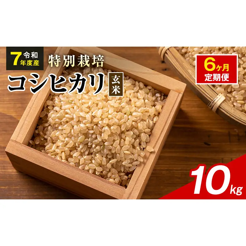 令和7年産 特別栽培米 コシヒカリ 玄米 10kg 静岡県産 色彩選別済 食に
