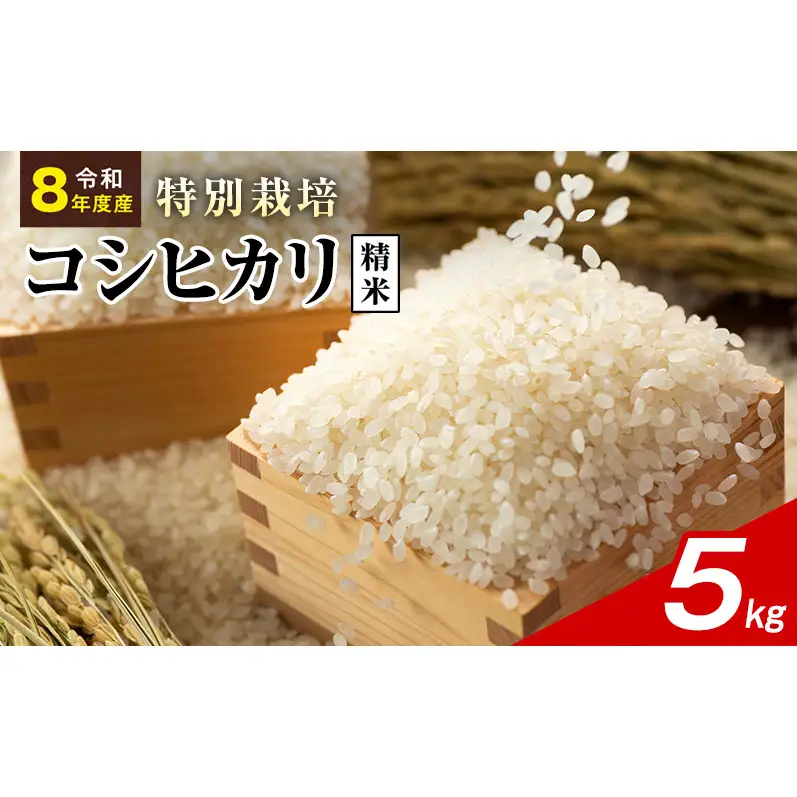 令和8年産 特別栽培米 コシヒカリ 白米 5kg 静岡県産 色彩選別済 食に意識高い方へオススメ