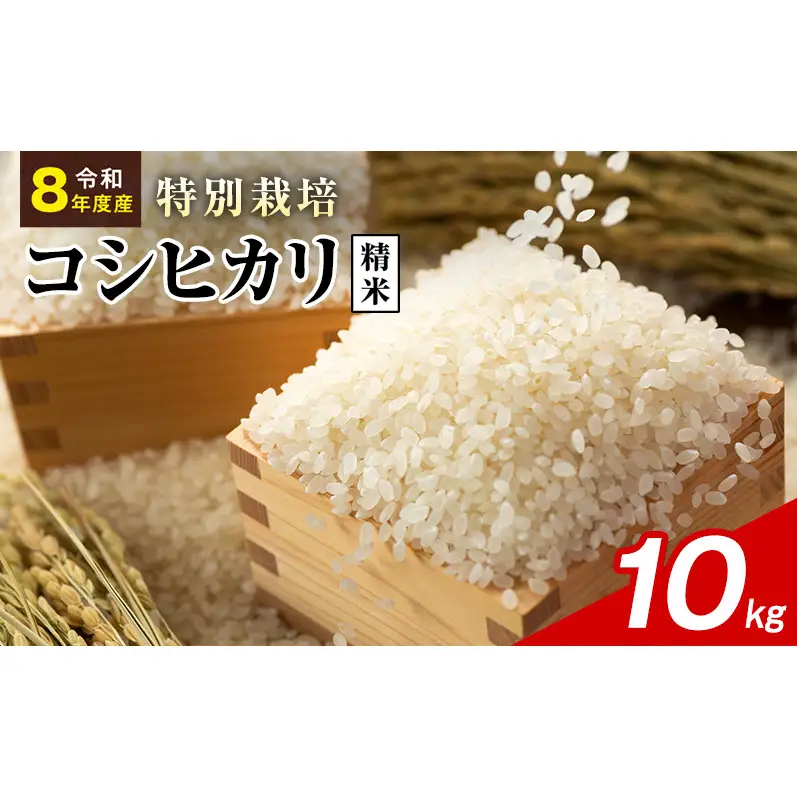 令和8年産 特別栽培米 コシヒカリ 白米 10kg 静岡県産 色彩選別済 食に意識高い方へオススメ