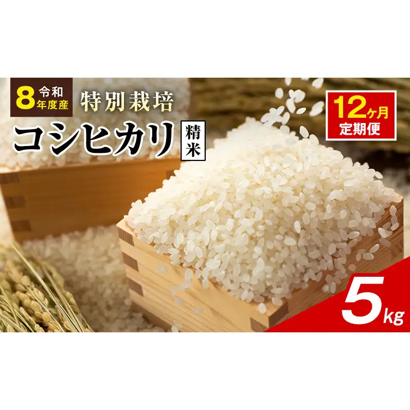 令和8年産 特別栽培米 コシヒカリ 白米 5kg 静岡県産 色彩選別済 食に意識高い方へオススメ 12ヶ月定期便