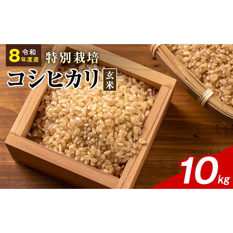 令和8年産 特別栽培米 コシヒカリ 玄米 10kg 静岡県産 色彩選別済 食に