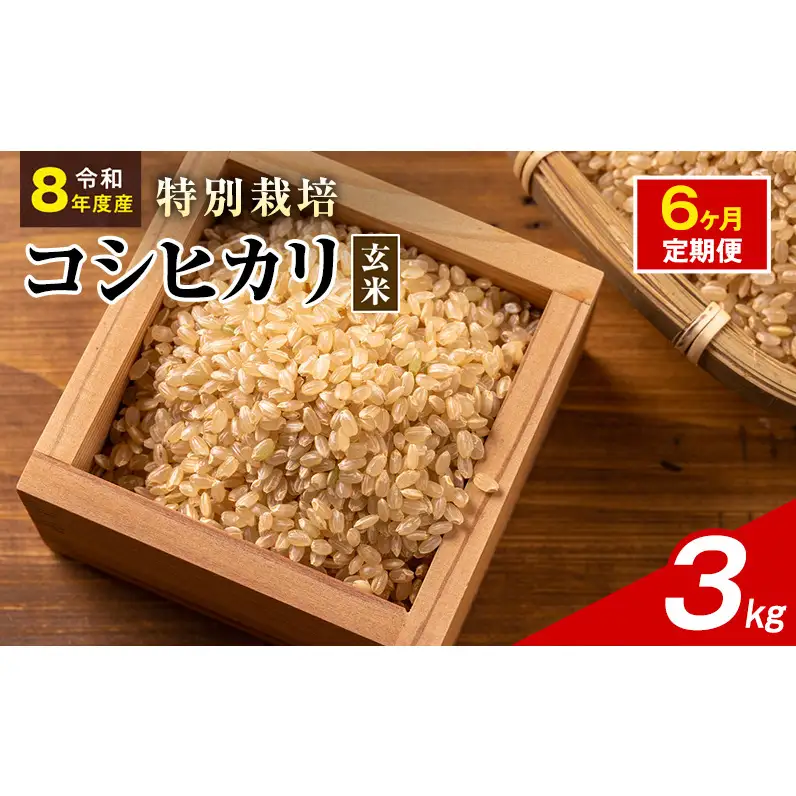令和8年産 特別栽培米 コシヒカリ 玄米 3kg 静岡県産 色彩選別済 食に意識高い方へオススメ 6ヶ月定期便