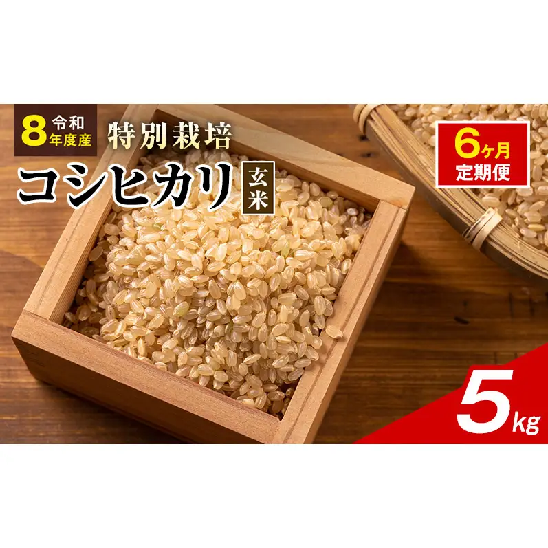 令和8年産 特別栽培米 コシヒカリ 玄米 5kg 静岡県産 色彩選別済 食に意識高い方へオススメ 6ヶ月定期便