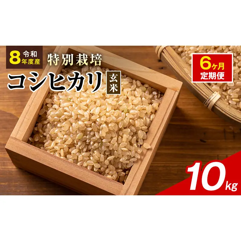 令和8年産 特別栽培米 コシヒカリ 玄米 10kg 静岡県産 色彩選別済 食に意識高い方へオススメ 6ヶ月定期便
