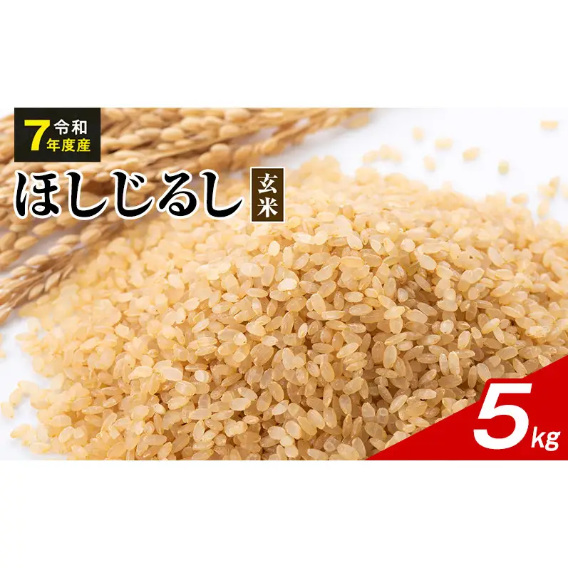 令和7年度産 ほしじるし 5kg 玄米 米 静岡県 袋井市【離島配送不可】