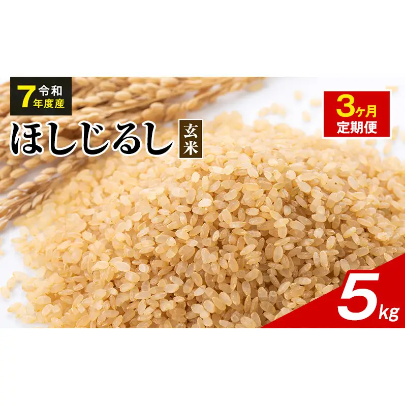 令和7年度産 ほしじるし 5kg 玄米 3ヶ月定期便 米 静岡県 袋井市【離島配送不可】