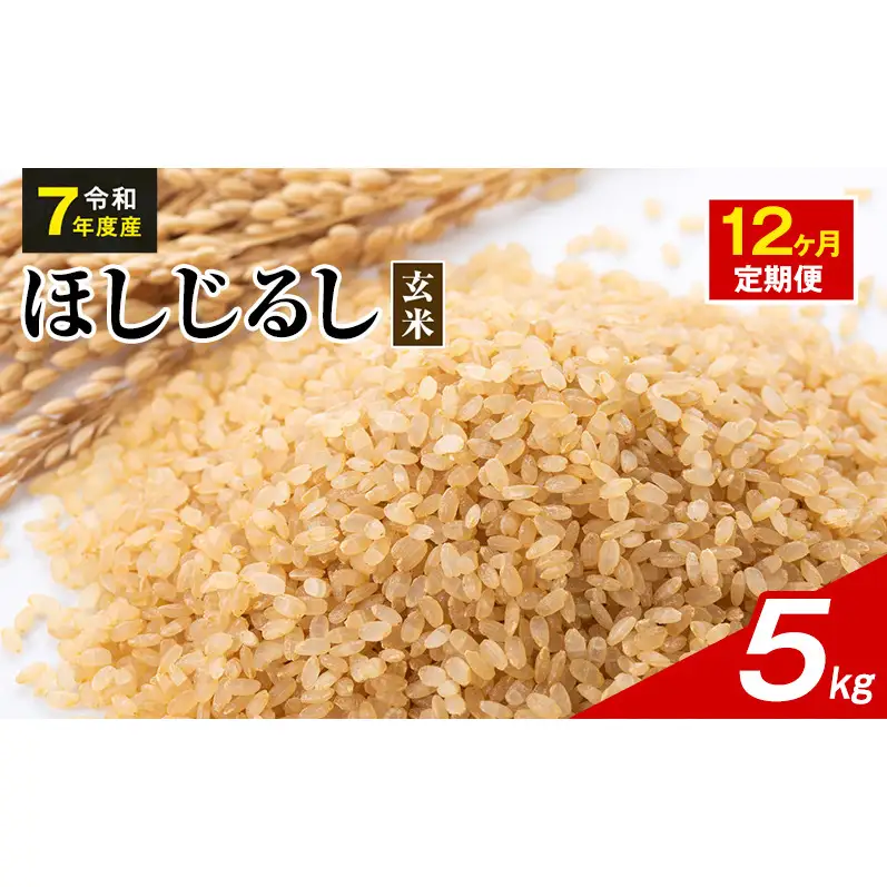 令和7年度産 ほしじるし 5kg 玄米 12ヶ月定期便 米 静岡県 袋井市【離島配送不可】 122,000円