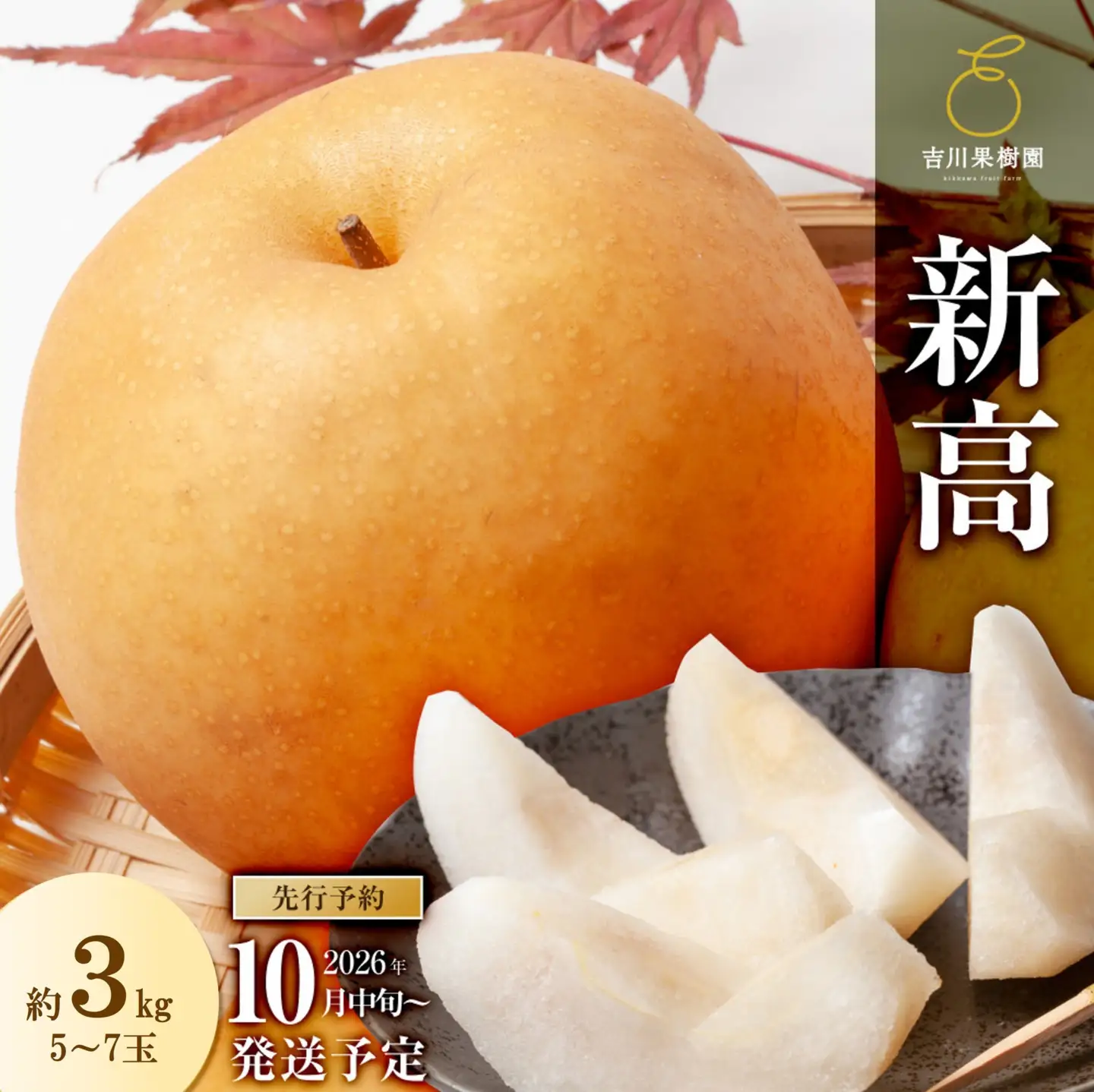 梨 新高 約3kg 5～7玉 2026年分先行予約 10月中旬～順次発送 吉川果樹園