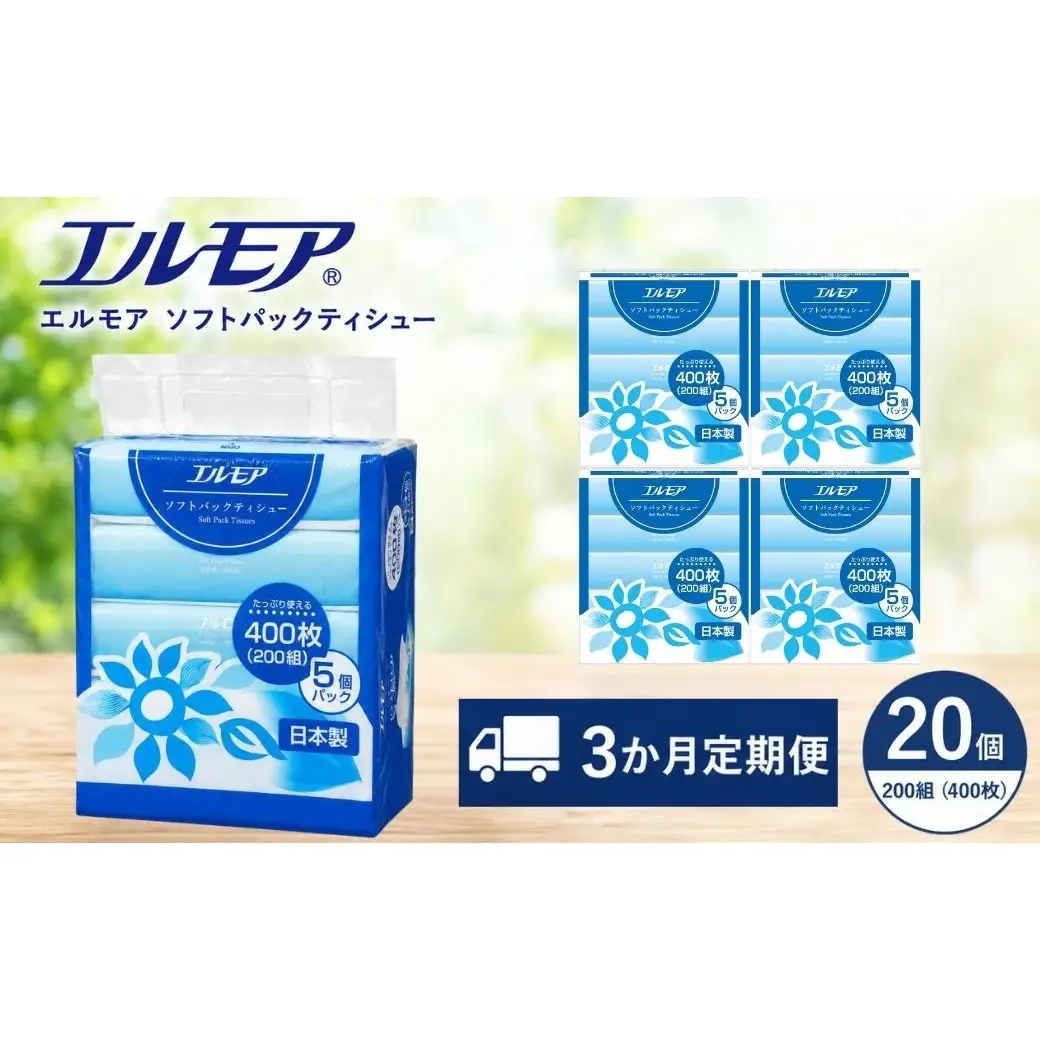 【3ヶ月毎月定期便】エルモア ソフトパックティシュー 400枚（200組） × 5個 × 4パック