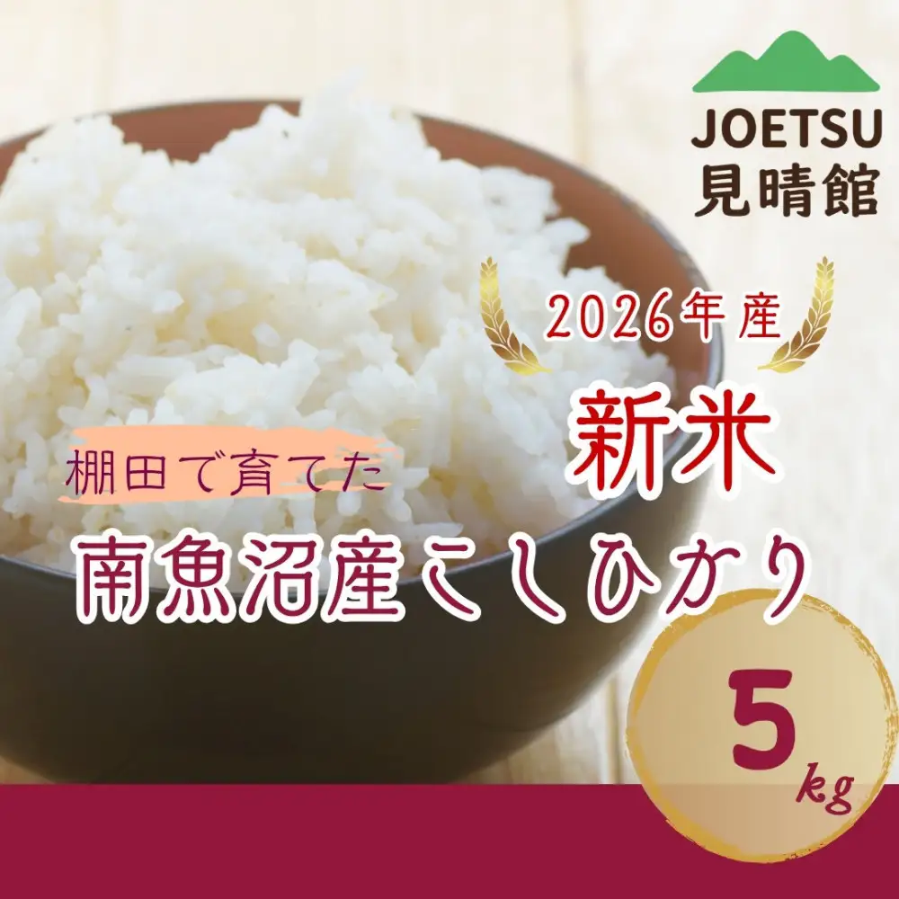 【令和8年産新米予約】〈塩沢地区限定・棚田米〉南魚沼産コシヒカリ 特別栽培米５割減農薬精米５キロ【2026年10月上旬より順次発送予定】