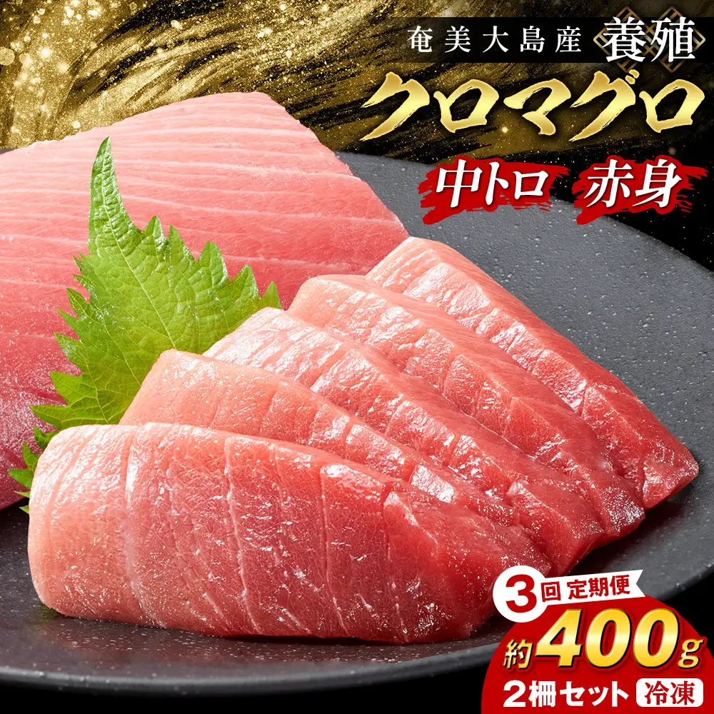 【3回定期便】奄美大島産養殖クロマグロ 2柵セット