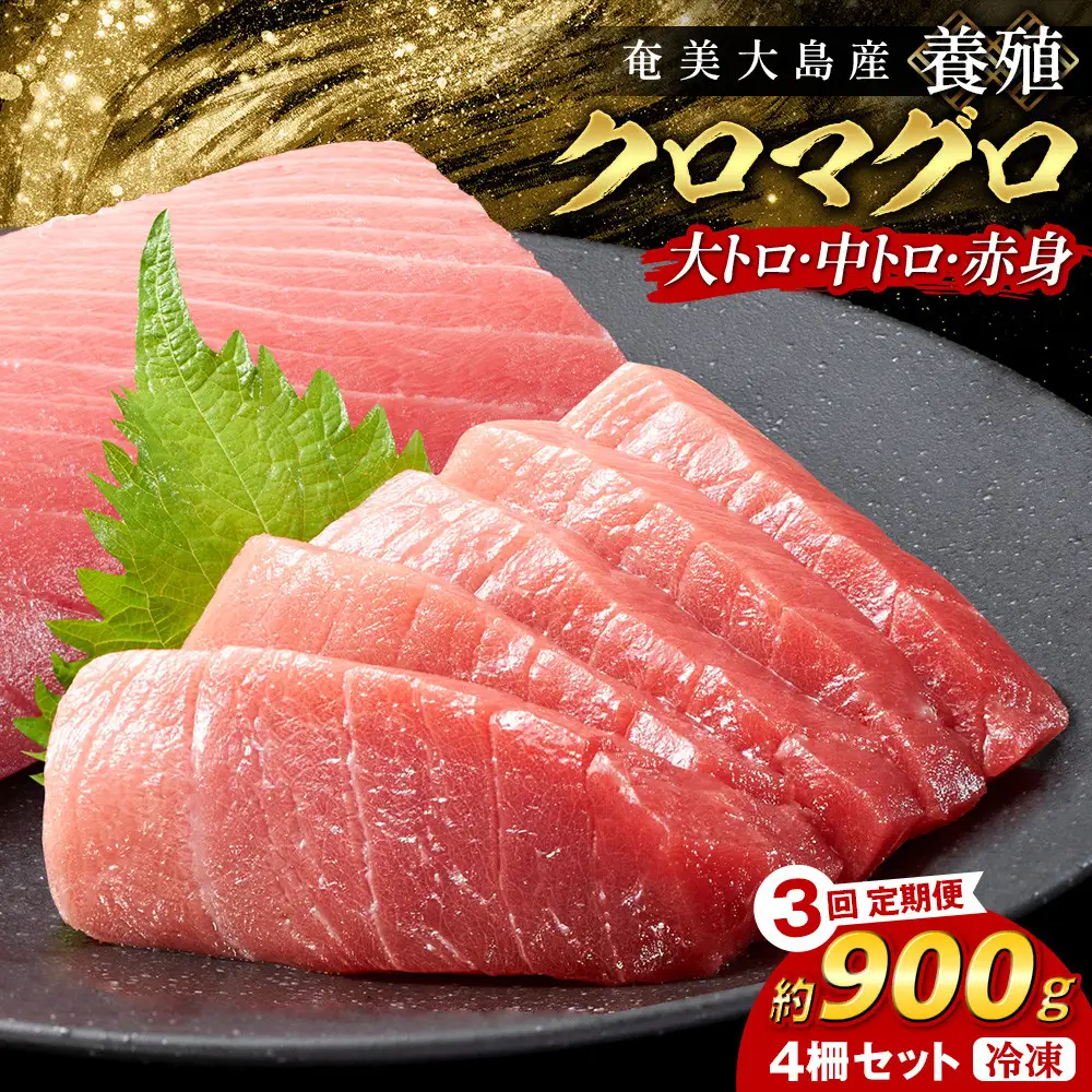 【3回定期便】奄美大島産養殖クロマグロ 4柵セット 900g以上