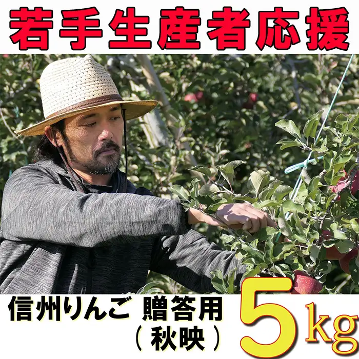 【2026年 先行予約 令和8年産】 りんご 5kg 【若手生産者応援】 秋映 伊藤 快 贈答用 果物 フルーツ 先行 予約 信州 麻績村