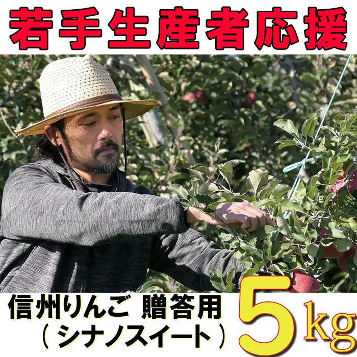 【2026年 先行予約 令和8年産】 りんご 5kg 【若手生産者応援】 シナノスイート 伊藤 快 贈答用 果物 フルーツ 先行 予約 信州 麻績村