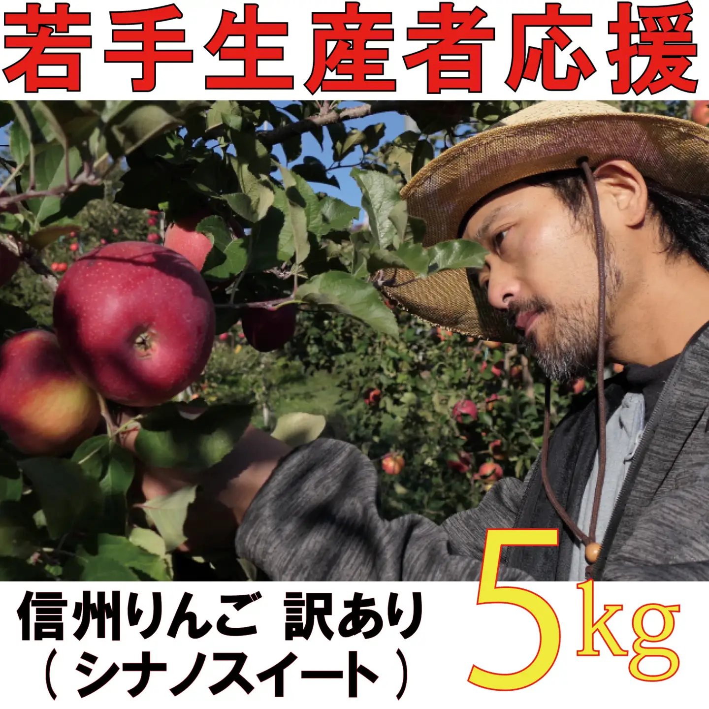 【2026年 先行予約 令和8年産】 訳あり りんご 5kg 【若手生産者応援】 シナノスイート 伊藤 快 果物 フルーツ 先行 予約 信州 麻績村 不揃い 規格外 家庭用