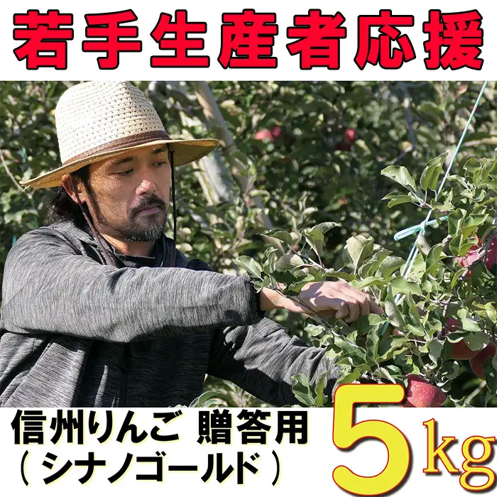 【2026年 先行予約 令和8年産】 りんご 5kg 【若手生産者応援】 シナノゴールド 伊藤 快 贈答用 果物 フルーツ 先行 予約 信州 麻績村