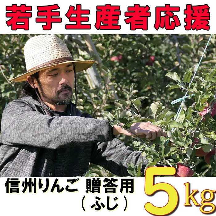【2026年 先行予約 令和8年産】 りんご 5kg 期間限定 【若手生産者応援】 ふじ サンふじ 伊藤 快 贈答用 果物 フルーツ 先行 予約 信州 麻績村