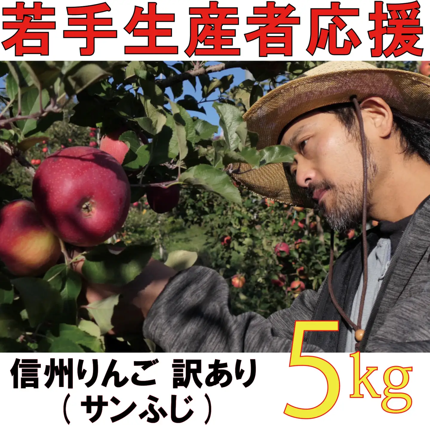 【2026年 先行予約 令和8年産】 訳あり りんご 5kg 期間限定 【若手生産者応援】 ふじ サンふじ 伊藤 快 果物 フルーツ 信州 麻績村 不揃い 規格外 家庭用