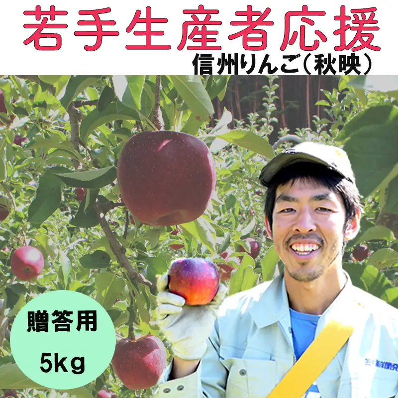 【2026年 先行予約 令和8年産】 りんご 5kg 【若手生産者応援】秋映 川上啓介 贈答用 果物 フルーツ 先行 予約 信州 麻績村