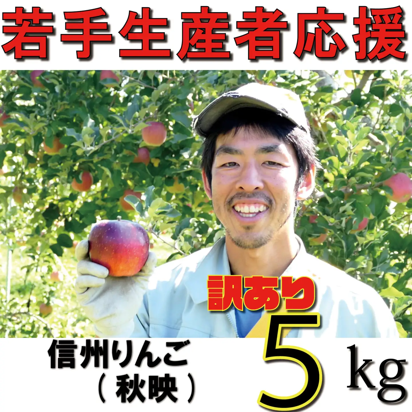 【2026年 先行予約 令和8年産】 訳あり りんご 5kg 【若手生産者応援】 秋映 川上啓介 果物 フルーツ 先行 予約 信州 麻績村 不揃い 規格外 家庭用