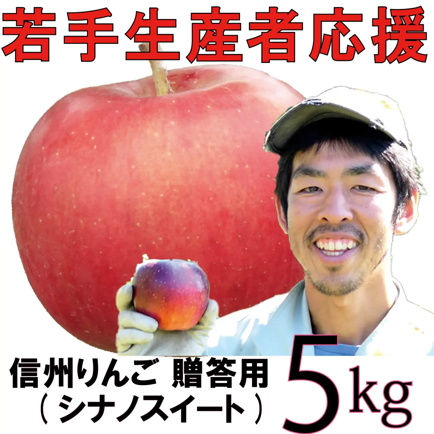 【2026年 先行予約 令和8年産】 りんご 5kg 【若手生産者応援】 シナノスイート 川上啓介 贈答用 果物 フルーツ 先行 予約 信州 麻績村
