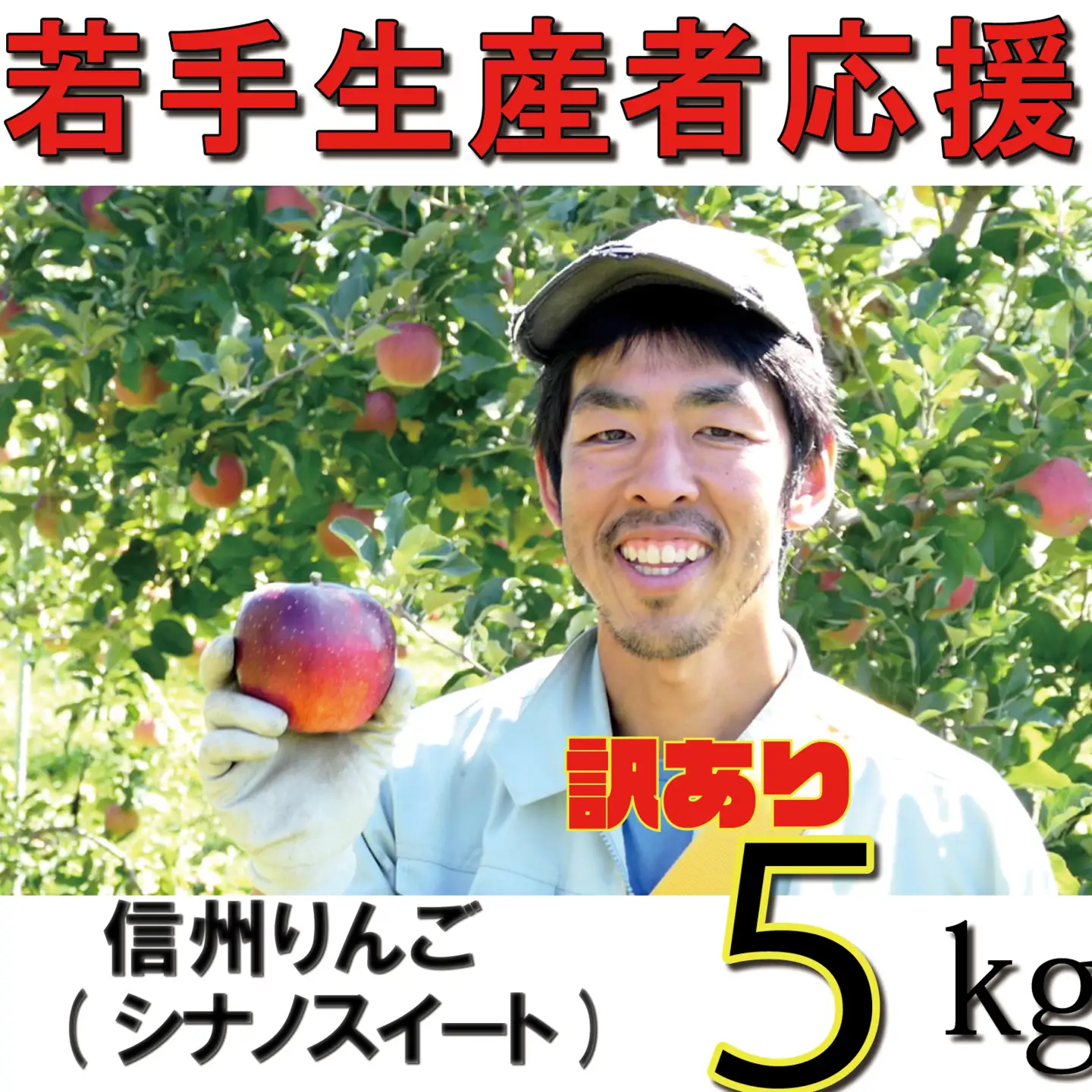 【2026年 先行予約 令和8年産】 訳あり りんご 5kg 【若手生産者応援】 シナノスイート 川上啓介 果物 フルーツ 先行 予約 信州 麻績村 不揃い 規格外 家庭用