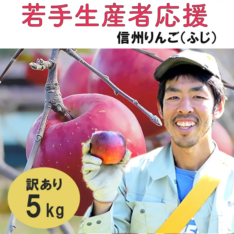 【2026年 先行予約 令和8年産】 訳あり りんご 5kg 期間限定 【若手生産者応援】 ふじ サンふじ 川上啓介 果物 フルーツ 先行 予約 信州 麻績村 不揃い 規格外 家庭用