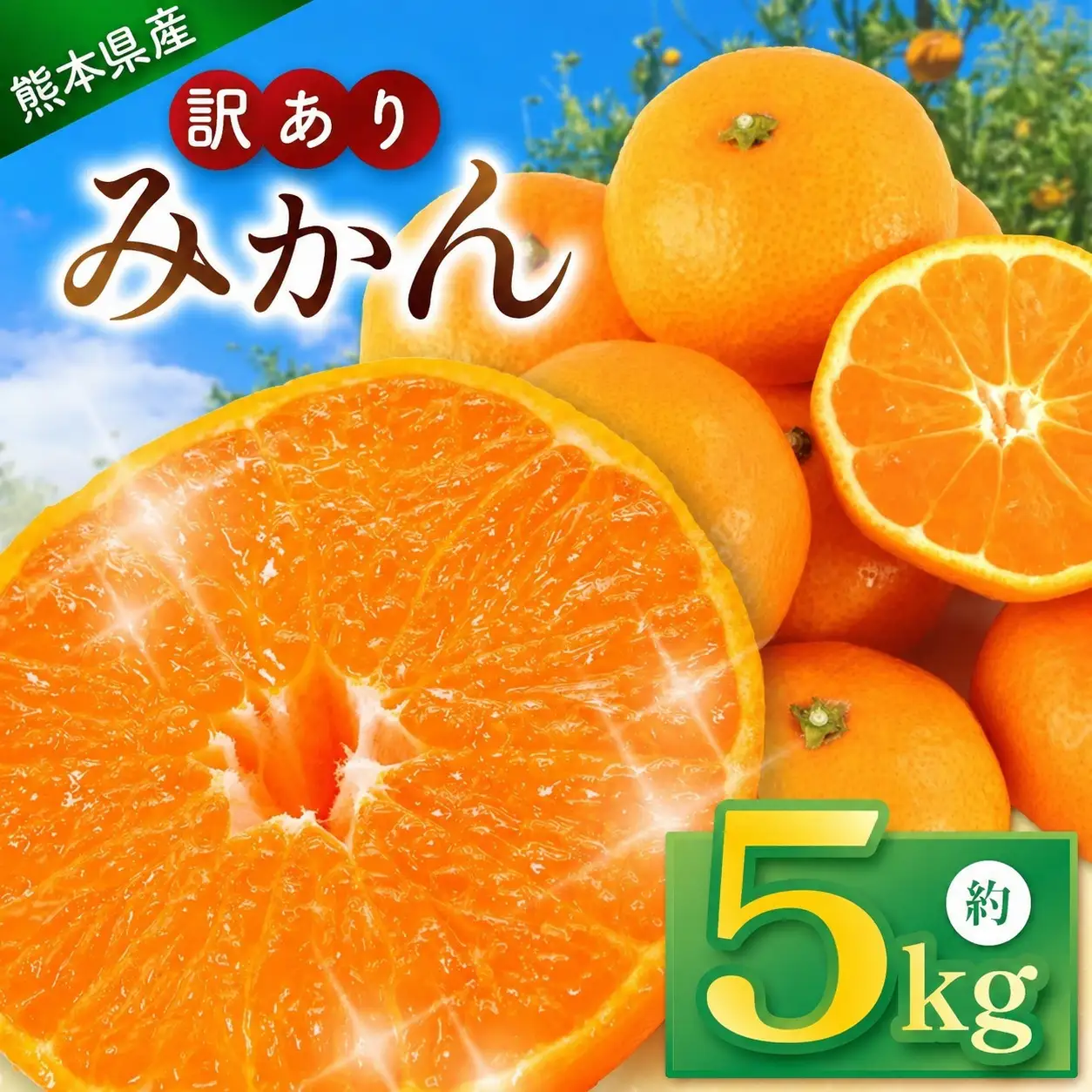 訳あり みかん 約5kg ｜iFARM岩城農園