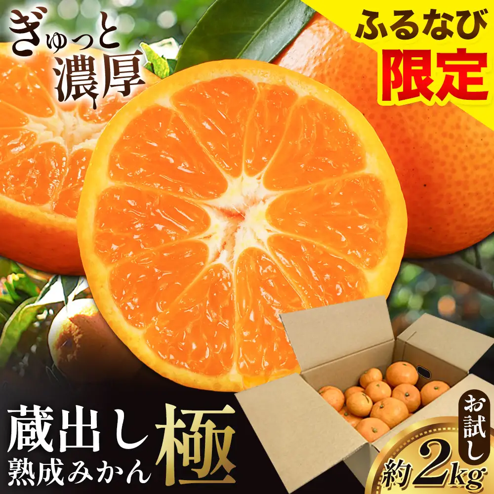 【先行予約】極みかん2kg お試し簡易包装