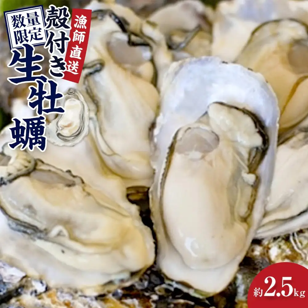【先行予約】殻付き生牡蠣 2.5kg【漁師直送！】