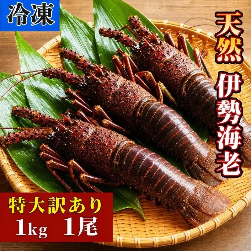 【冷凍】 天然 伊勢海老 1kg 1尾 訳あり 数量限定 高知 黒潮町 [1708-2]