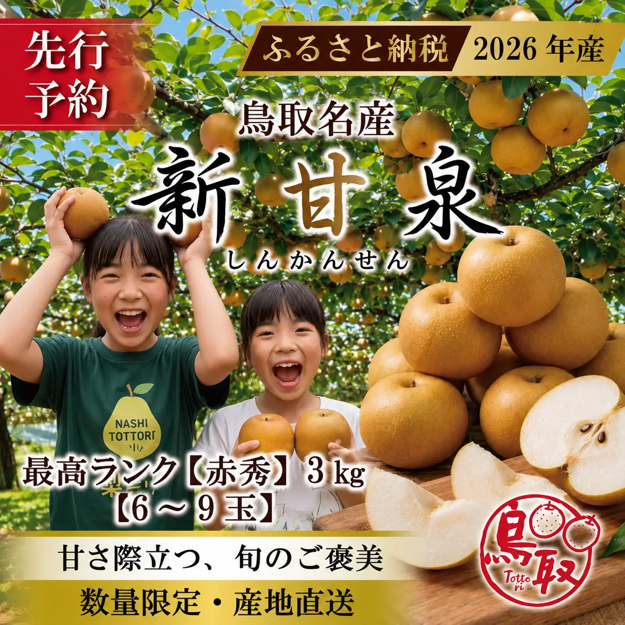 東商果樹園 新甘泉(訳あり)3kg(８月下旬から発送）