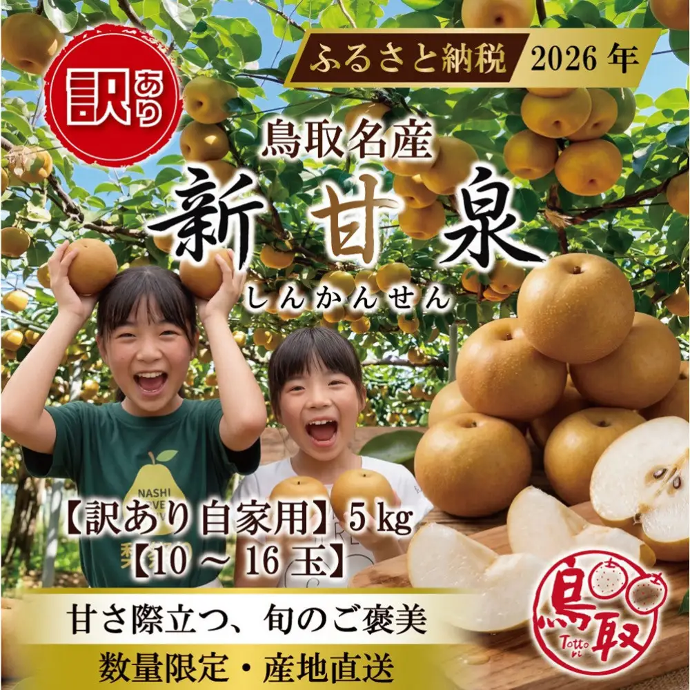 東商果樹園 新甘泉(訳あり)5kg(８月下旬から発送）