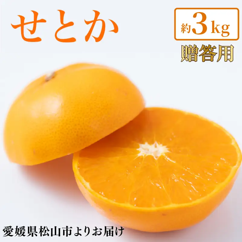 【2027年2月上旬頃から順次発送】 せとか 贈答用 約3kg みかん ジューシー 田中農園 【TNN015】