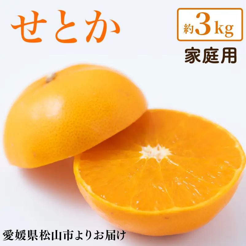 【2027年2月上旬頃から順次発送】 せとか 家庭用 約3kg みかん 田中農園 【TNN016】