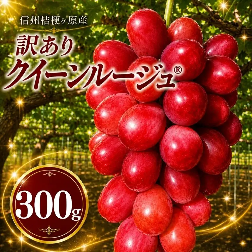 【2026年先行予約】訳あり 信州桔梗ヶ原産 こだわりのクイーンルージュ® 約300g
