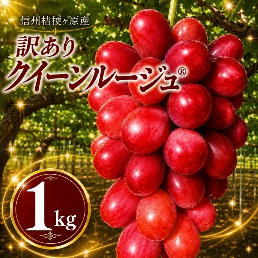 【2026年先行予約】訳あり 信州桔梗ヶ原産 こだわりのクイーンルージュ® 約1kg