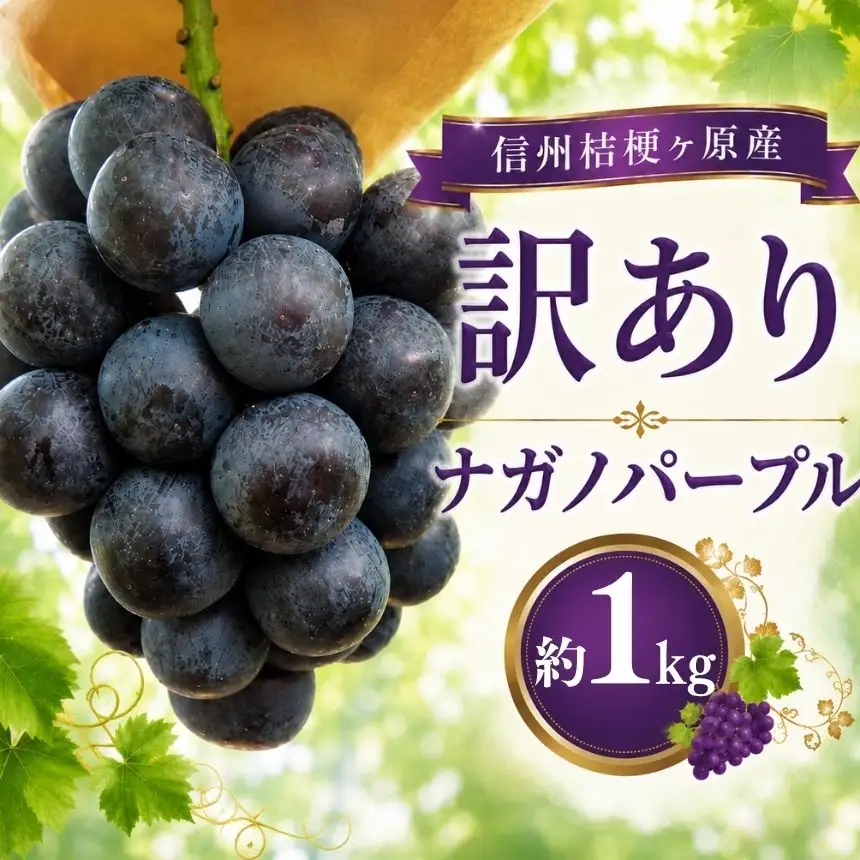 【2026年先行予約】訳あり 信州桔梗ヶ原産 ナガノパープル 約1kg